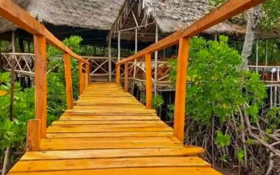 Costa o entroterra? Due volti del Kenya, un’unica anima